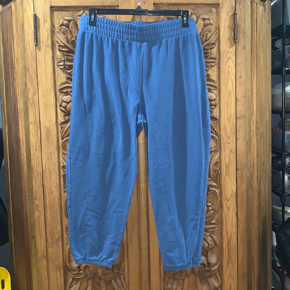 EUC J Crew XXL blue fleece jogger